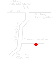 Biest-Trikes die Trikevermietung im Osten von Berlin