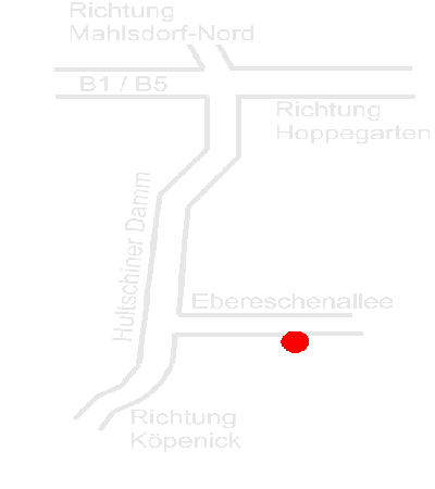 Biest-Trikes die Trikevermietung im Osten von Berlin